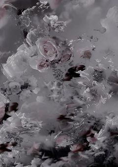 　𝙄𝙉 𝙖𝙙𝙪𝙡𝙩 𝙨𝙩𝙤𝙧𝙮 ꞌꞋ ࣪