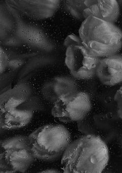 　𝘽𝙧𝙚𝙖𝙩𝙝𝙡𝙚𝙨𝙨 . 