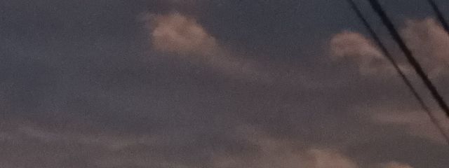 すももさんの壁紙画像