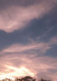 文スト妄想詰め込み