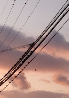 これからよろしくお願いします🙇