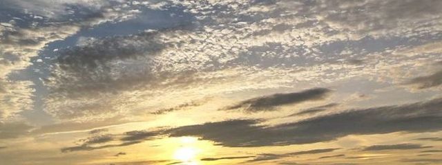 さ〜もんうめうめさんの壁紙画像