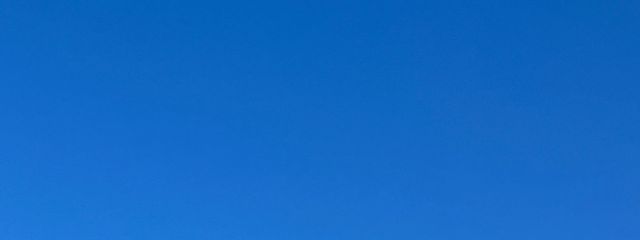 🌲さんの壁紙画像