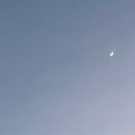 🌲さんのアイコン画像