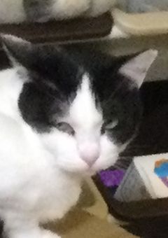 私とリア友のコメント部屋