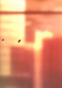 『 "壊れた" セカイ』