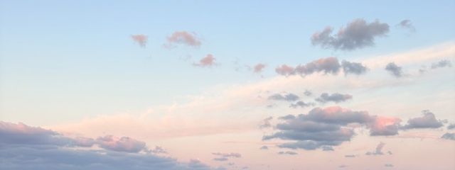 らいさんの壁紙画像