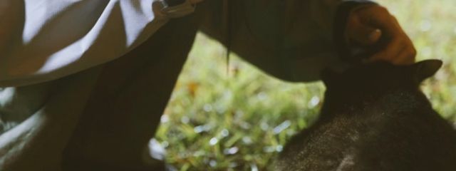 ꕤ︎︎·͜·Ꙭ̫ᵔᢦᵔさんの壁紙画像