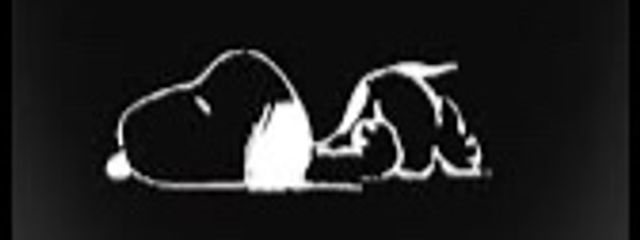 naviさんの壁紙画像