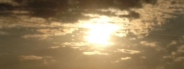 トガネさんの壁紙画像