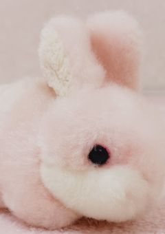 ꒷꒦꒷꒦泣いても病んでも許してにゃん꒦꒷꒦꒷