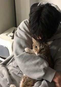 ㅤㅤチャイニーズボーイ︎ ︎ ︎  .