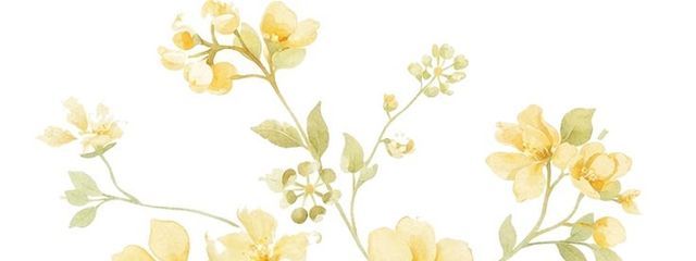 ふるさんの壁紙画像