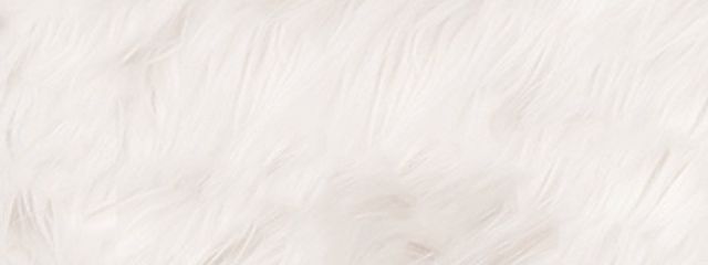 ᤕ 𖤟 ~ 友 募さんの壁紙画像