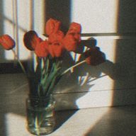 3 __ 10 ##さんのアイコン画像