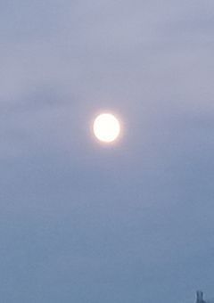 魔法使いの世界