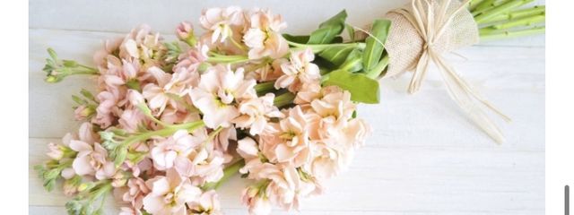 ねるね iPadパワーすげぇ……さんの壁紙画像