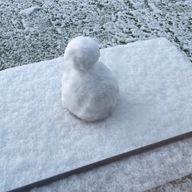 MEGUMIさんのアイコン画像