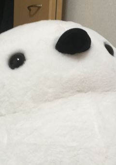 オリキャラーずの日常🌈 