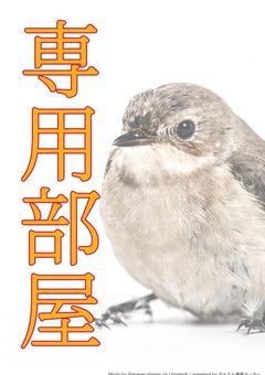 リア友（氷星霞碧❄️⭐️＆ラーメン食べたい）専用部屋