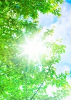 いちごマイクラに招待されたので、みんなと仲良くします!【完結】