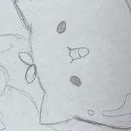 ぬんさんのアイコン画像