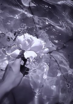 𝑵𝒋𝒔𝒋 | 愛されヒロインが嫌われる話