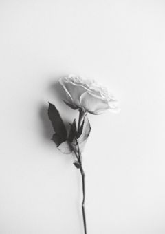 推し友　募集中！