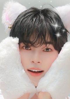 拾った猫が美青年だった件