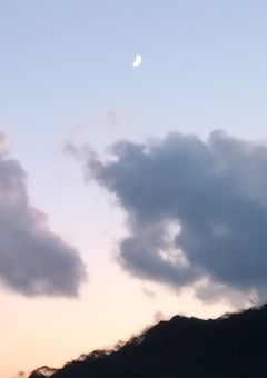 毎日日記的な?