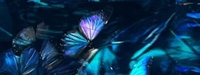 友梨さんの壁紙画像