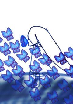 あの勿忘草が咲く丘で。