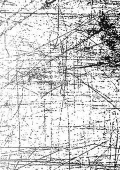 　💍 DON'T BE AFRAID ＿