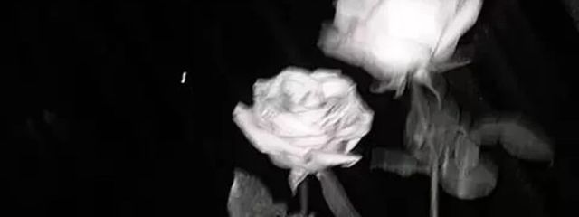 ☽°  _𝑪𝒉𝒂𝒏𝒈𝒃𝒊𝒏さんの壁紙画像