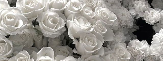 ずみみさんの壁紙画像