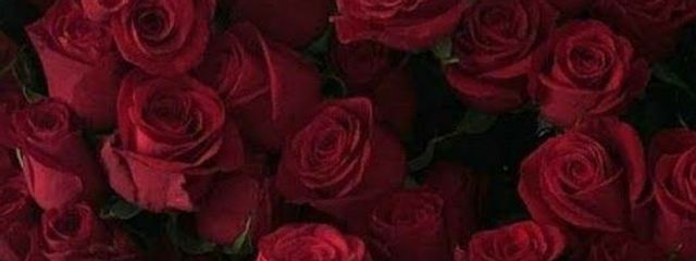 宮舘涼太の嫁❤#推ししか勝たん❤さんの壁紙画像