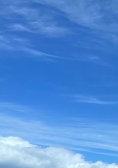 体調不良集