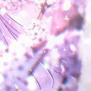 (なまえ:下の名前)と雨晴