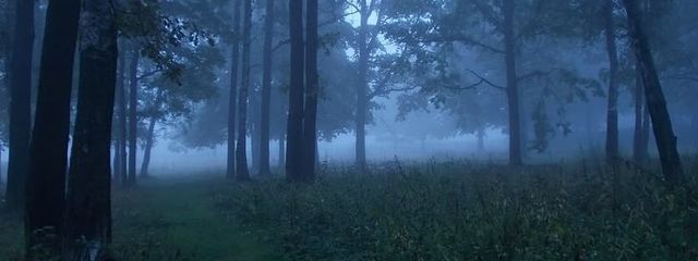 ^^さんの壁紙画像