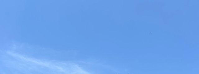 りゅうさんの壁紙画像