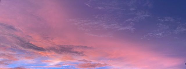 ももさんの壁紙画像