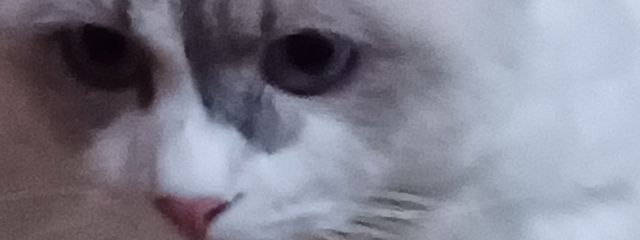 モクイ[0点先生の弟子/Forsakenにハマりましたぜ]さんの壁紙画像