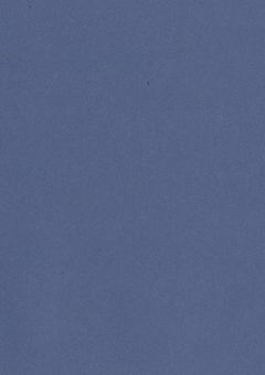 『🍏』　推しの守護霊?やってます