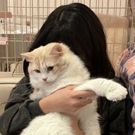 みーさんのアイコン画像