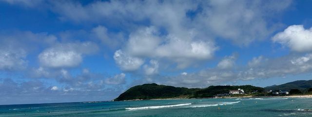 なぁこさんの壁紙画像