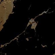 なぁこさんのアイコン画像