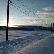 死にたがり。さんのアイコン画像