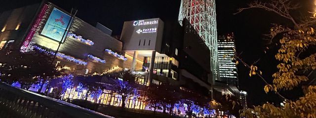 葵さんの壁紙画像