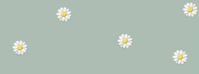 ゆあ 💭さんの壁紙画像