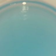 Tahito　12月下旬まで活動休止さんのアイコン画像